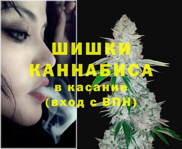 шишки Беломорск