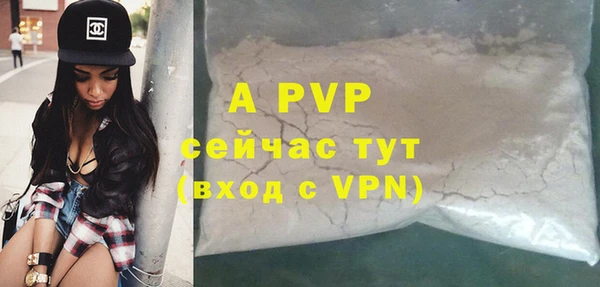 ПСИЛОЦИБИНОВЫЕ ГРИБЫ Белоозёрский