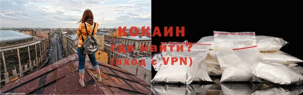 шишки Беломорск