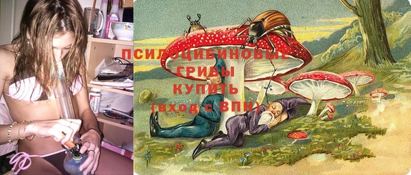 бошки Балахна